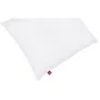 Abeil Lot de 2 oreillers Douceur Blanc 60 x 60 cm - Certifiés Oeko-Tex - Oreiller de qualité pour sommeil sain