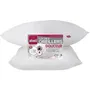 Abeil Lot de 2 oreillers Douceur Blanc 60 x 60 cm - Certifiés Oeko-Tex - Oreiller de qualité pour sommeil sain