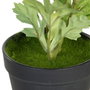 BigBuy Home Plante décorative Fleur 11 x 11 x 36 cm