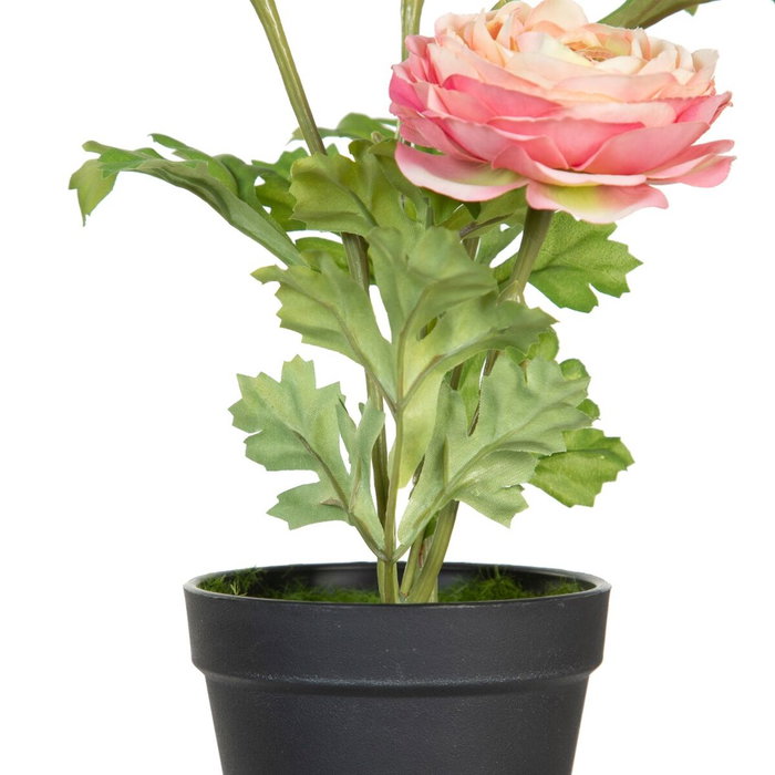 BigBuy Home Plante décorative Fleur 11 x 11 x 36 cm