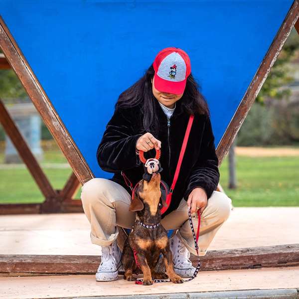Mickey Jouet à mâcher pour chien en caoutchouc - Dimensions : 10.0 x 20.0 x 7.0 cm - À partir de 3 ans - Rouge - Cerdá