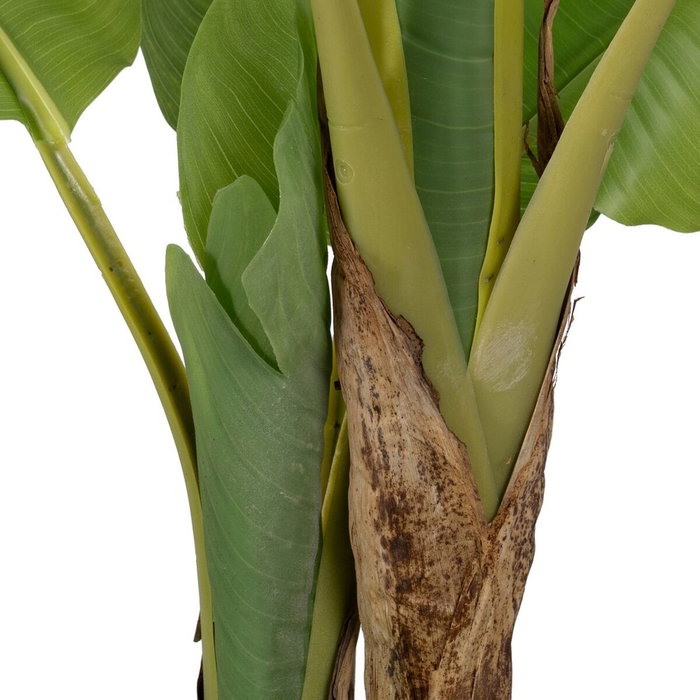 Plante décorative Caoutchouc 90 X 90 X 125 CM Plante décorative Caoutchouc 90 X 90 X 125 CM