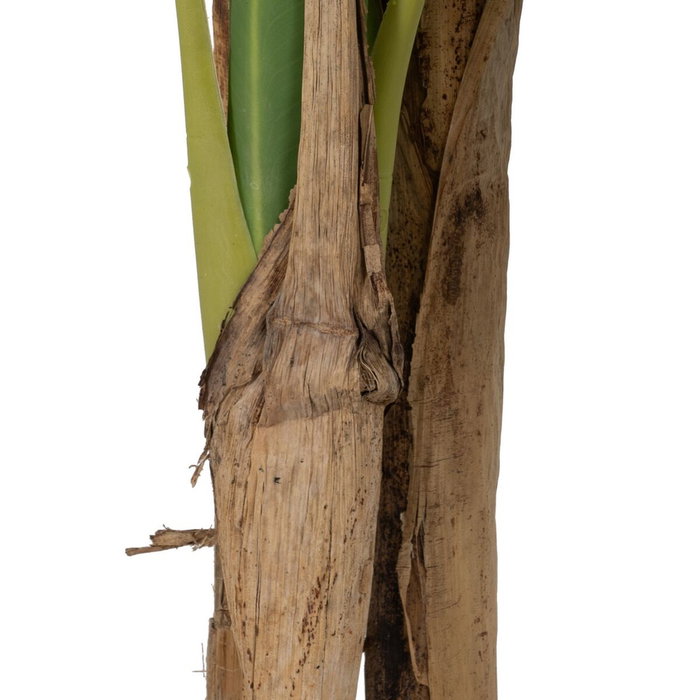 Plante décorative Caoutchouc 90 X 90 X 125 CM Plante décorative Caoutchouc 90 X 90 X 125 CM