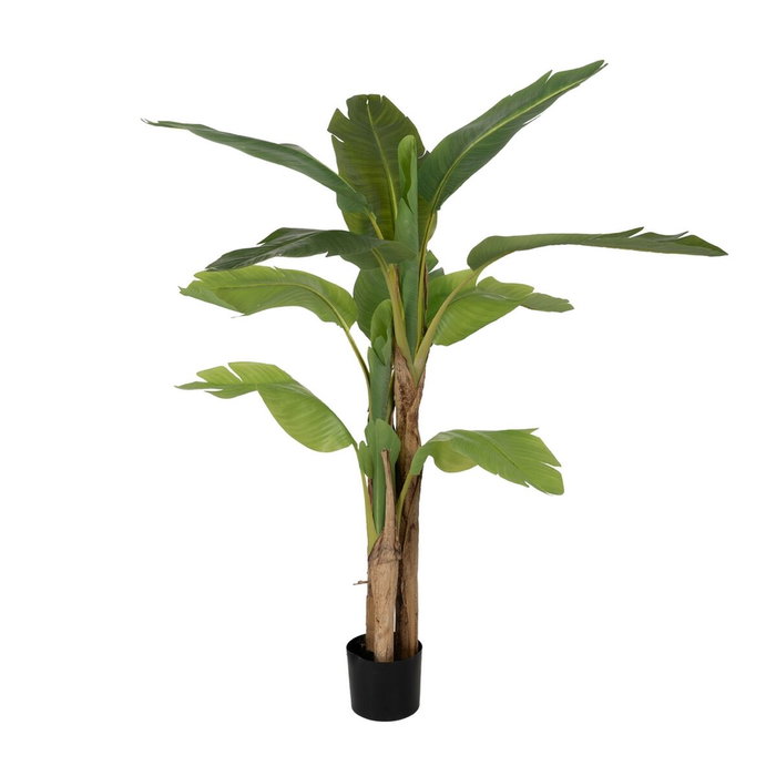 Plante décorative Caoutchouc 90 X 90 X 125 CM Plante décorative Caoutchouc 90 X 90 X 125 CM