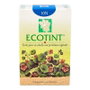 NOEFAR Ecotint Tinte Rubio Platino - 10N