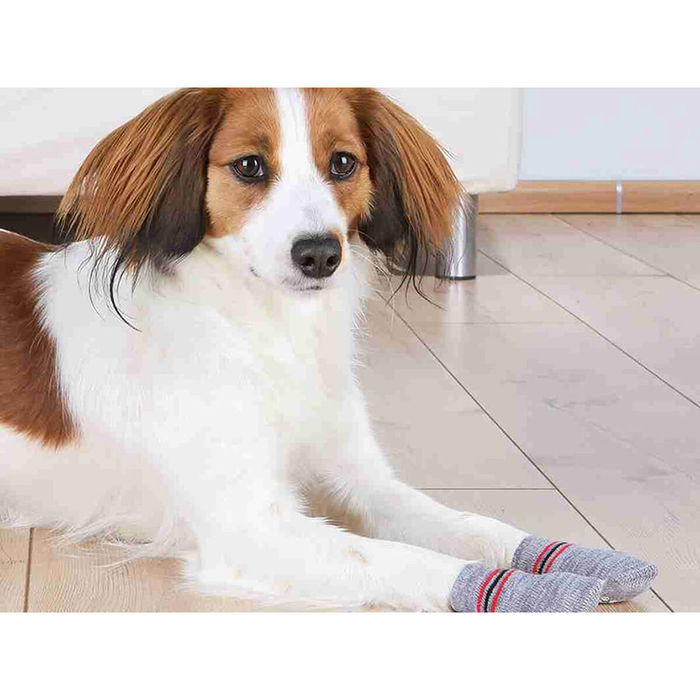 Chaussettes Trixie Gris XS/S Chien