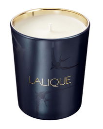 Lalique Bougie parfumée La Nuit Nairobi Kenya - Prune - Parfum d'intérieur unisexe - 190 g