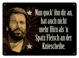 Blechwaren Fabrik Braunschweig Panneau métal Bud Spencer Nun guck' ihn dir an,... 10 x 15 cm