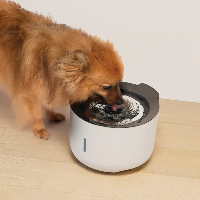 Zeus Oasis Fontaine à eau pour chiens - 3 L