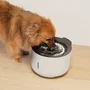 Zeus Oasis Fontaine à eau pour chiens - 3 L