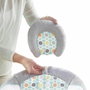 Ingenuity Transat Morrison avec arche de jouets et vibrations