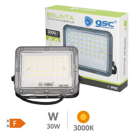 GSC Evolution Projecteur LED Belinta 30W 3000K Noir