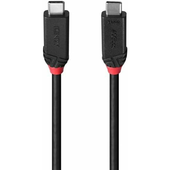 Câble USB-C vers USB-C LINDY Noir 1 m