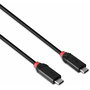 Câble USB-C vers USB-C LINDY Noir 1 m