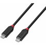 Câble USB-C vers USB-C LINDY Noir 1 m