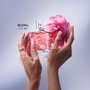 LANCOME LA VIE EST BELLE ROSE EXTRAORDINAIRE EDP VAPO 50 ML