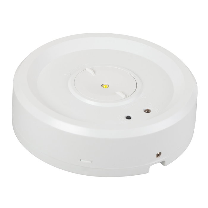 Éclairage de secours LED de surface 185Lm 3 heures 0,7W 3,2V 3000mAh Éclairage de secours LED de surface 185Lm 3 heures 0,7W 3,2V 3000mAh