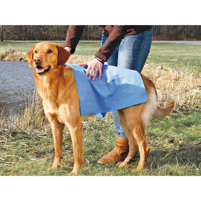Serviette Trixie Bleu 66 x 43 cm
