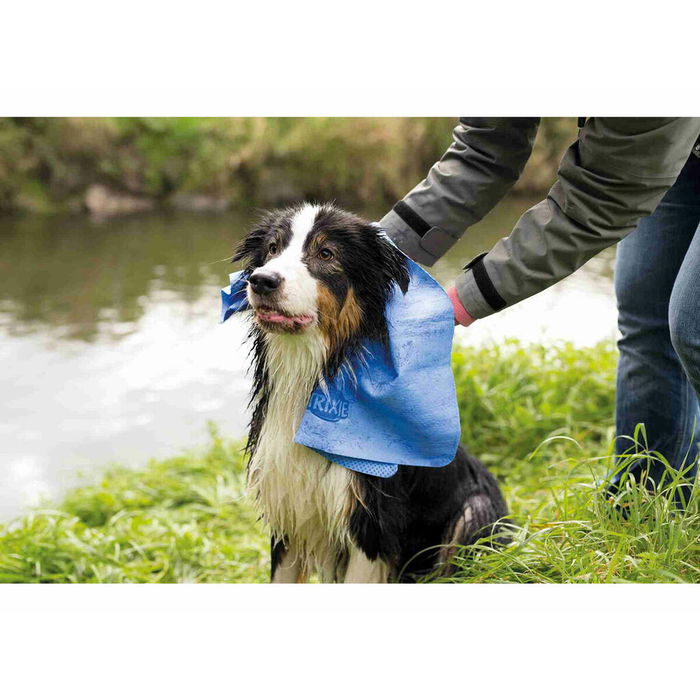 Serviette Trixie Bleu 66 x 43 cm