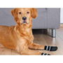 Chaussettes Trixie Noir XL Chien
