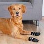 Chaussettes Trixie Noir XL Chien