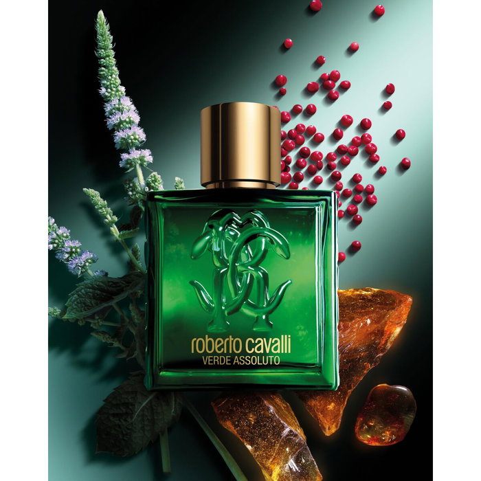 Roberto Cavalli Verde Assoluto Uomo Eau de Parfum 100 ml Roberto Cavalli Verde Assoluto Uomo Eau de Parfum 100 ml
