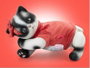 Berjuan - Figurine de chat Anireal - 35 cm - Peluche douce - Âge recommandé 3 ans