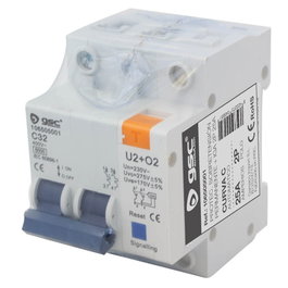 GSC Evolution Protecteur surtension permanente + IGA 2P 25A