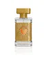 Paris Corner Fatal Embrace Eau de Parfum 100 ml