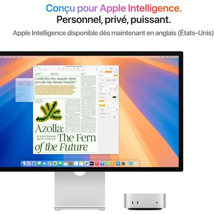 Apple Mac mini (2024) Puce M4 24 Go RAM 512 Go SSD CPU 10 coeurs GPU 10 coeurs Argent