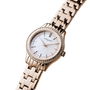 Montre Femme Pierre Cardin CF.0611.SC.RG (Ø 30 mm)
