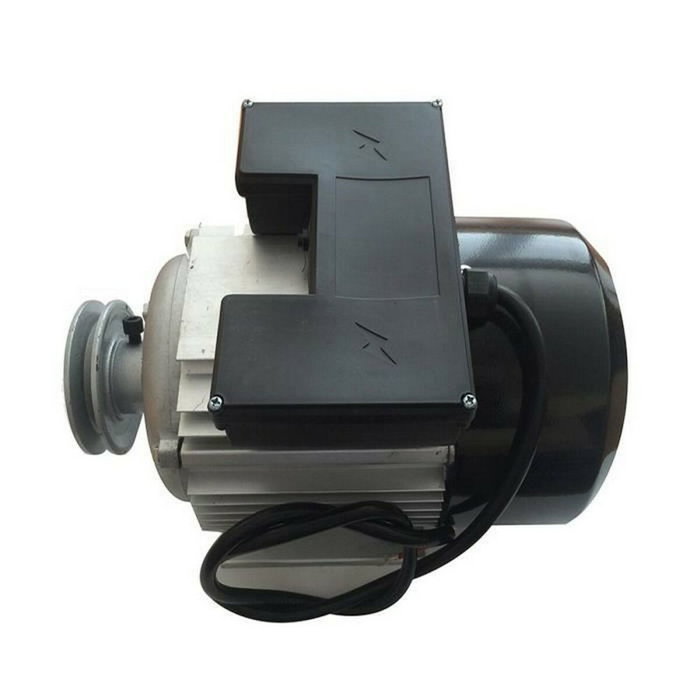 Domac Moteur électrique 3CV 230V avec poulie