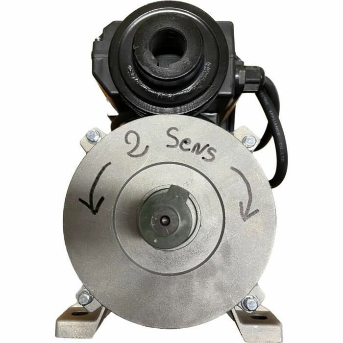 Domac Moteur électrique 3CV 230V avec poulie
