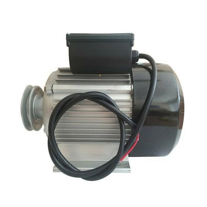Domac Moteur électrique 3CV 230V avec poulie