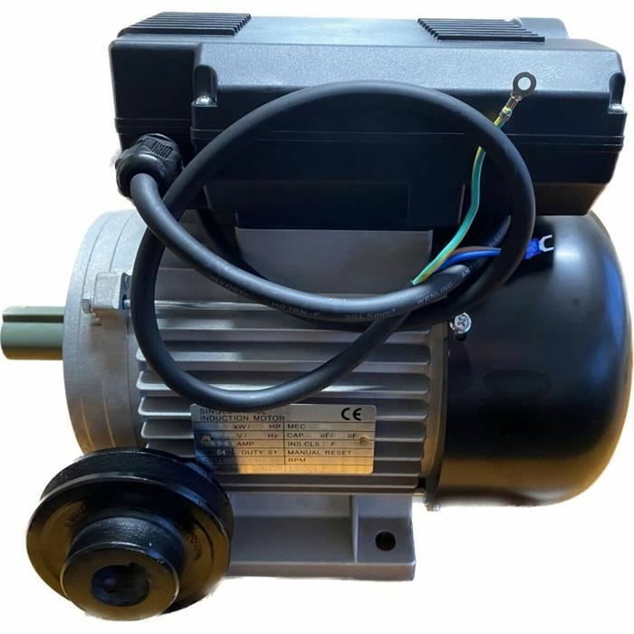 Domac Moteur électrique 3CV 230V avec poulie