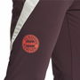 Pantalon de sport long Adidas Fc Bayern 24/25 Tiro24 Marron Bordeaux Homme
