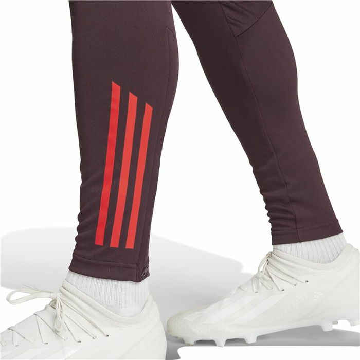Pantalon de sport long Adidas Fc Bayern 24/25 Tiro24 Marron Bordeaux Homme