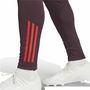 Pantalon de sport long Adidas Fc Bayern 24/25 Tiro24 Marron Bordeaux Homme