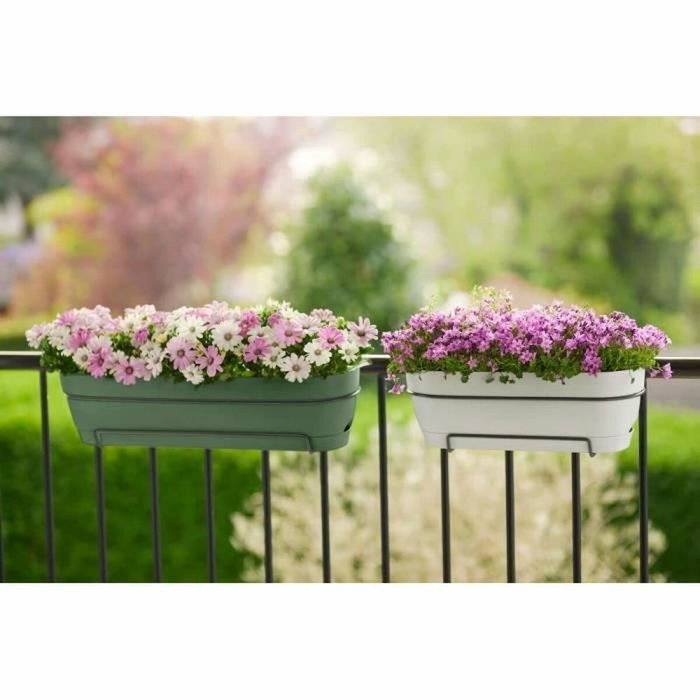 Elho Balconnière Vibia Campana Verte 50 cm avec Réservoir Elho Balconnière Vibia Campana Verte 50 cm avec Réservoir