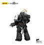 Joy Toy (CN) Warhammer 40,000 Black Templars Heavy Intercessor