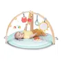 Bright Starts Tapis d'éveil évolutif bébé Disney Baby Winnie, réversible et pliable, avec arche en bois, jouets sensoriels et musicaux, miroir, 5 jouets amovibles