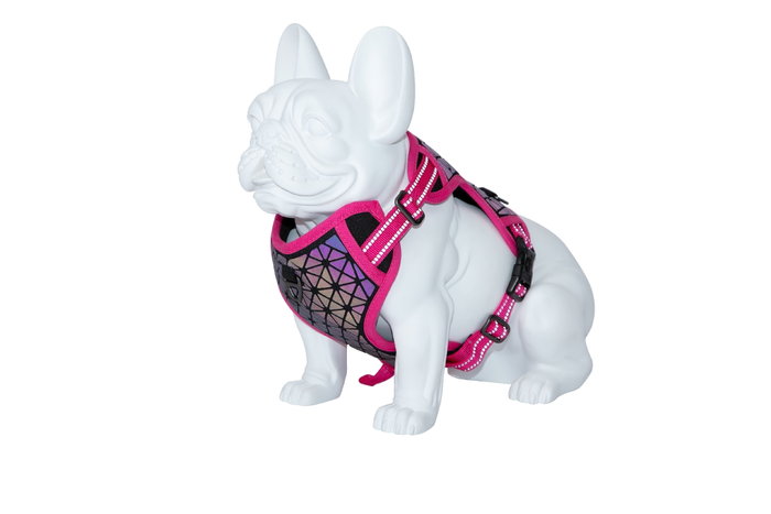 Freedog Harnais Boreal Fuchsia 25mm Freedog Harnais Boreal Fuchsia 25mm