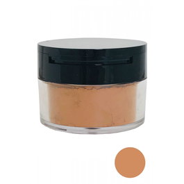 Elizabeth Arden High Performance Poudre Fixante Libre Floutage - Teint Moyennement Profond, 17.5 g