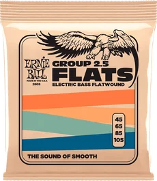 ERNIE BALL Jeu de cordes pour basse électrique Group II Long Scale 45-105 entorchées planes