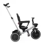 Chicco Tricycle Évolutif 4 en 1 pour Enfant de 6 Mois à 4 Ans avec Guidon Réglable, Roues Caoutchouc EVA et Châssis Métallique - Pliable