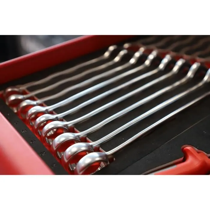 KS TOOLS Module 713.2017, clés mixtes Ultimate, 17 clés de 6 à 22 mm, module en mousse taille 1/3 pour servante d'atelier KS TOOLS Module 713.2017, clés mixtes Ultimate, 17 clés de 6 à 22 mm, module en mousse taille 1/3 pour servante d'atelier