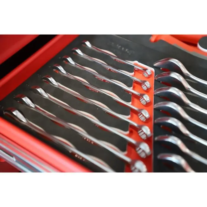 KS TOOLS Module 713.2017, clés mixtes Ultimate, 17 clés de 6 à 22 mm, module en mousse taille 1/3 pour servante d'atelier KS TOOLS Module 713.2017, clés mixtes Ultimate, 17 clés de 6 à 22 mm, module en mousse taille 1/3 pour servante d'atelier