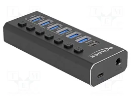 DELOCK Hub USB 10Gbps - 9 ports - Gris