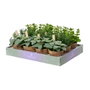 Everlands Plante Artificielle en Plastique avec Pot, Ø15 x 17 cm, Exposition de 12 Pièces