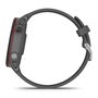 Montre intelligente GARMIN Forerunner 255 Gris 1,3" 46 mm
